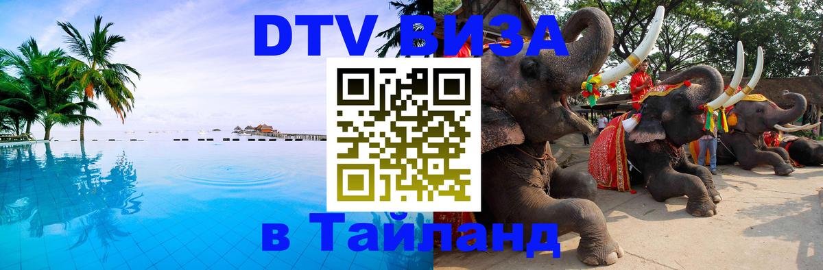 Оформление DTV визы под ключ: стоимость и тарифы, только загранпаспорт - Ставрополь  21.11.2025 